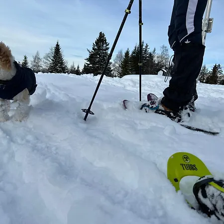 Piz Tambo Hotel Splügen