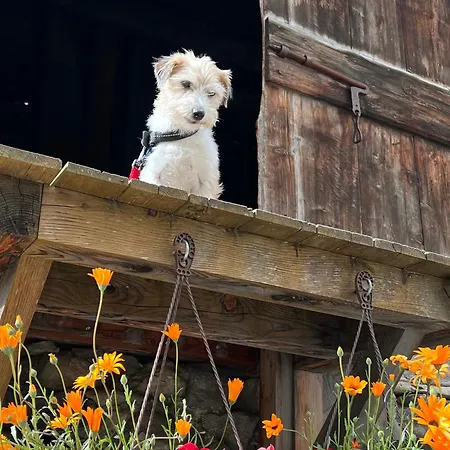 Hotel Piz Tambo Splügen