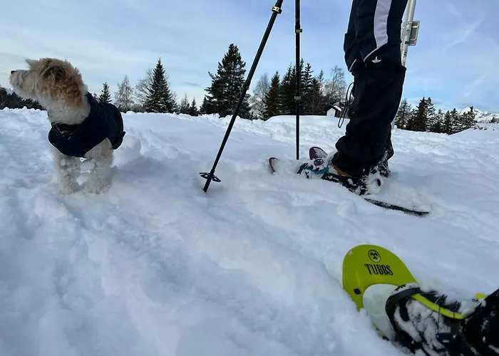 Piz Tambo Hotel Splugen