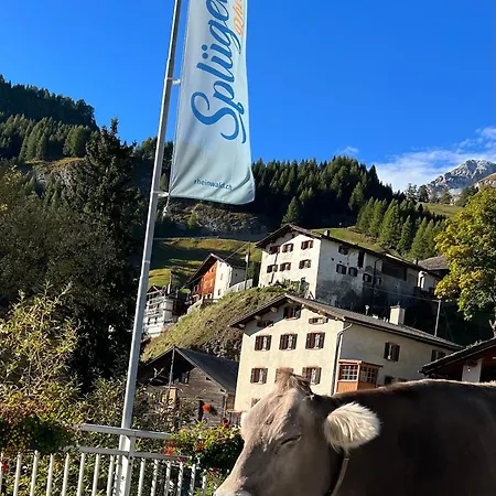 Hotel Piz Tambo 3*